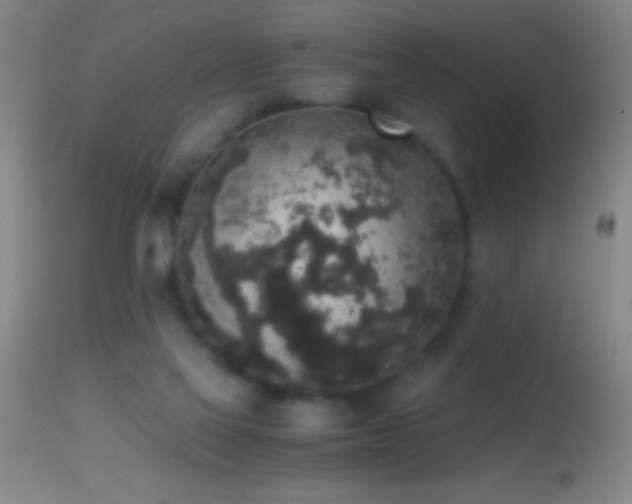 X0000114660069200910201540