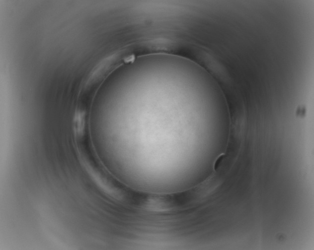 X0000114660070200910201540