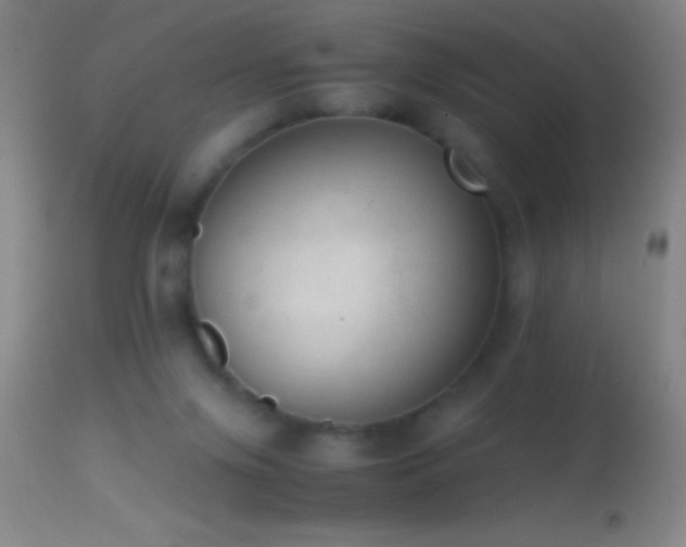 X0000114660071200910201540