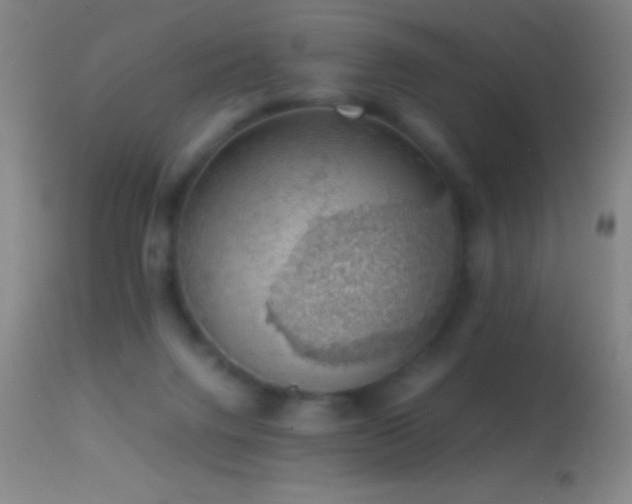 X0000114660072200910201540