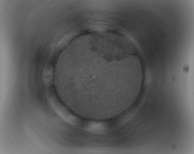 X0000114660073200910201540