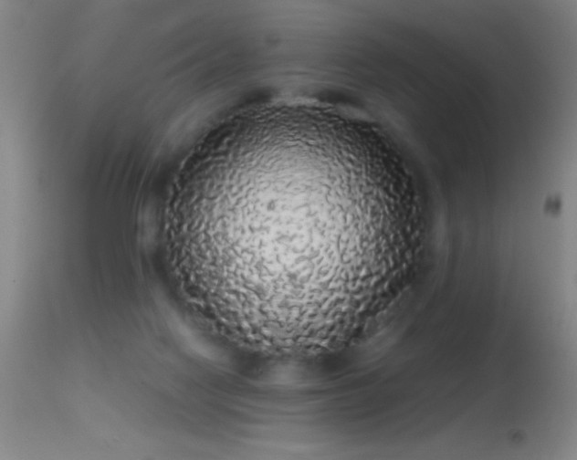 X0000114660074200910201540