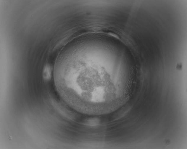 X0000114660075200910201540