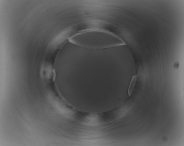 X0000114660076200910201540