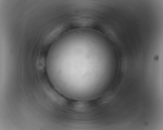 X0000114660077200910201540