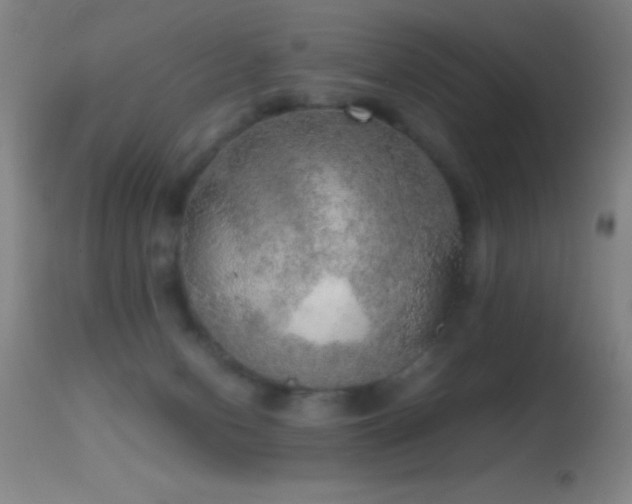 X0000114660078200910201540