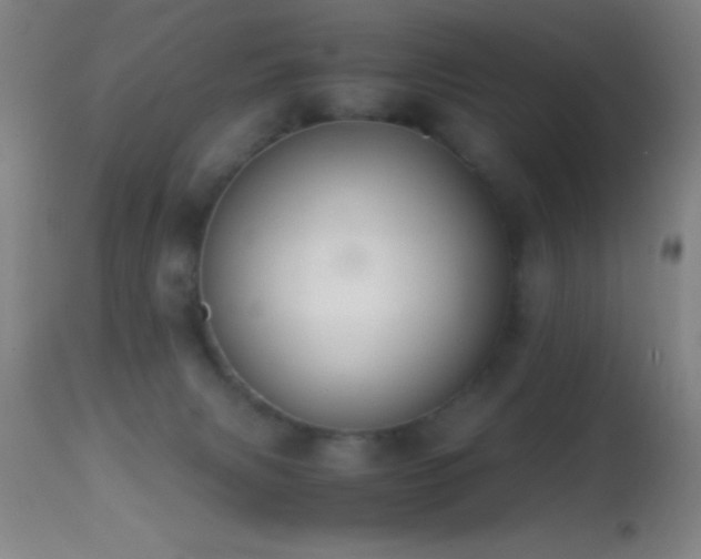 X0000114660079200910201540