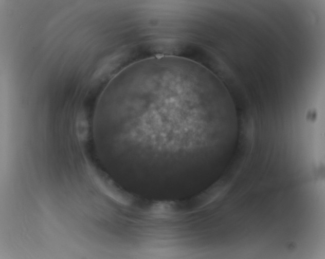 X0000114660080200910201540