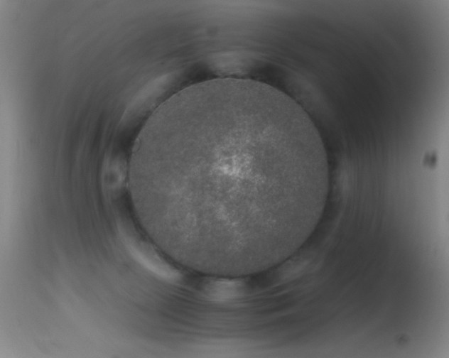 X0000114660081200910201540