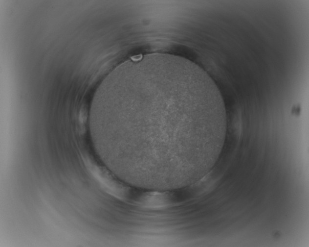 X0000114660082200910201540