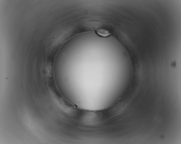 X0000114660083200910201540