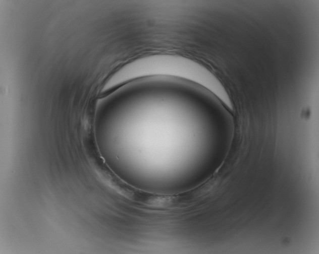 X0000114660084200910201540