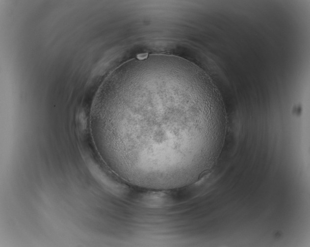 X0000114660086200910201540