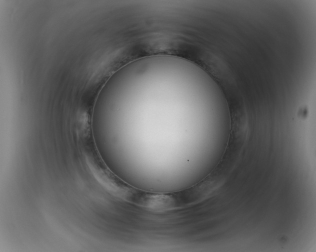 X0000114660087200910201540