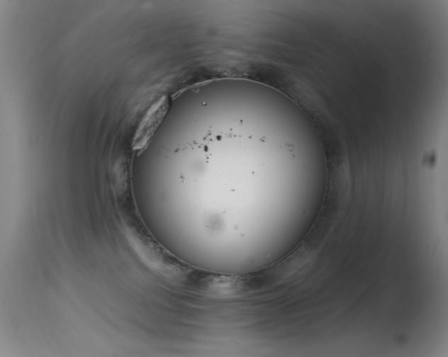 X0000114660088200910201540