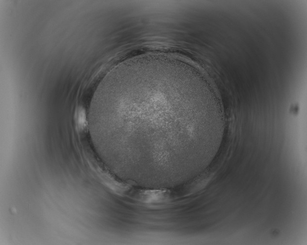 X0000114660089200910201540