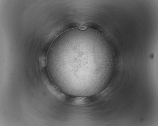 X0000114660090200910201540