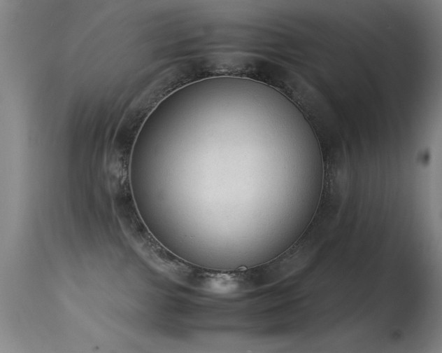 X0000114660091200910201540