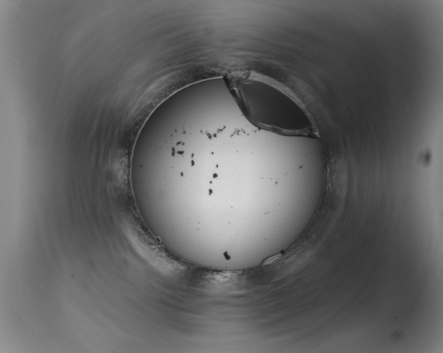 X0000114660092200910201540