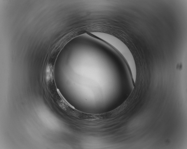 X0000114660095200910201540