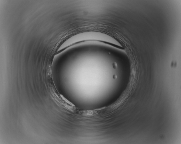 X0000114660096200910201540