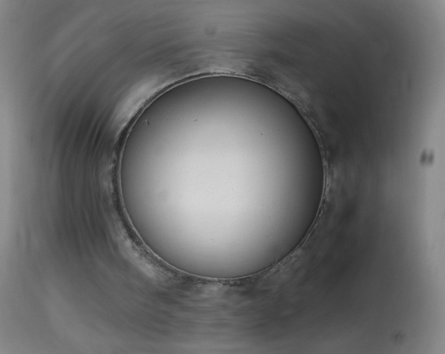 X0000114660098200910201539