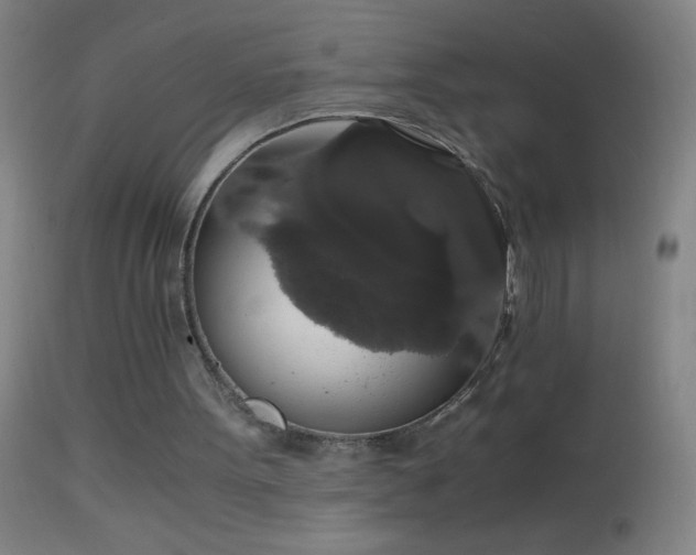 X0000114660099200910201539