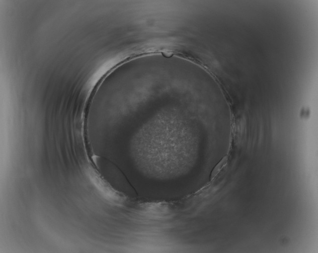 X0000114660100200910201539