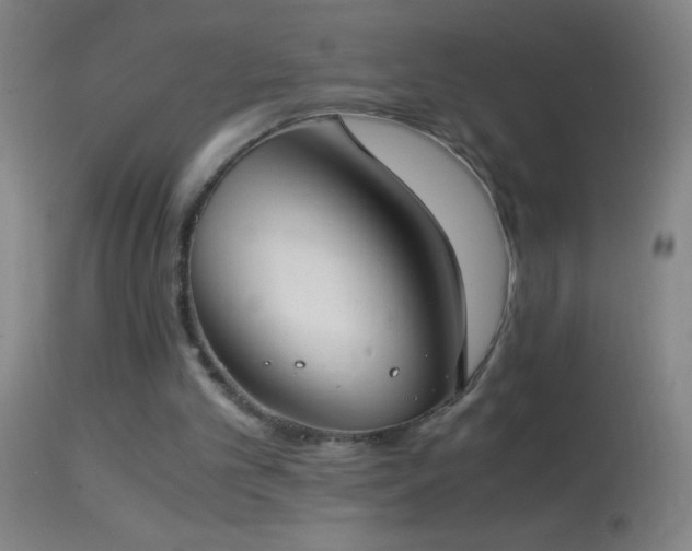 X0000114660101200910201539