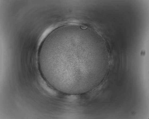 X0000114660102200910201539