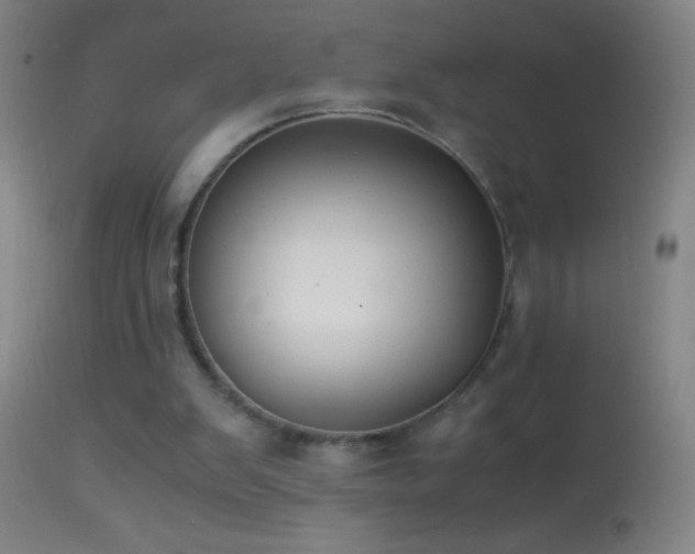 X0000114660103200910201539