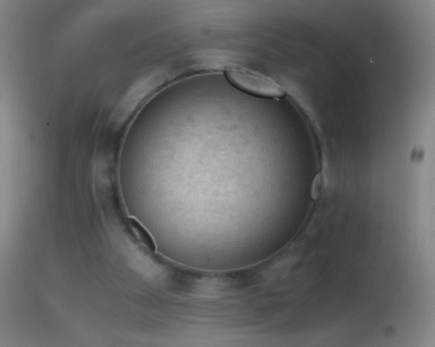 X0000114660105200910201539