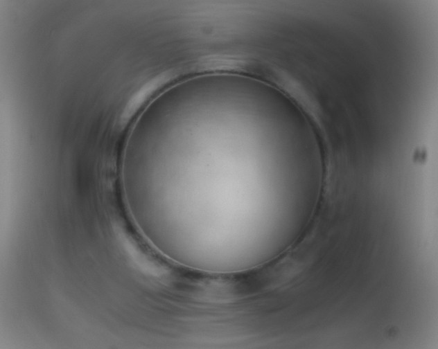 X0000114660107200910201539