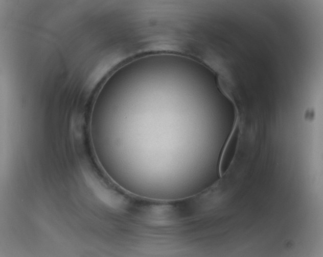 X0000114660108200910201539