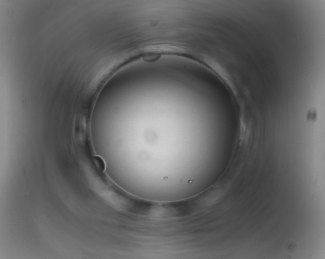 X0000114660109200910201539