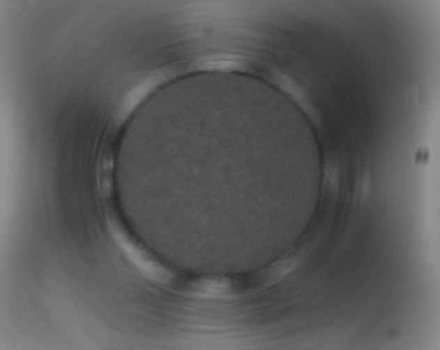 X0000114660110200910201539