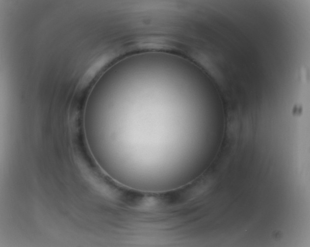 X0000114660111200910201539