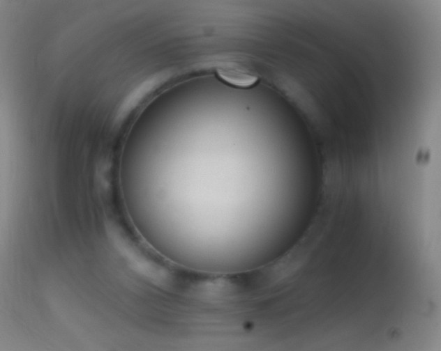 X0000114660112200910201539