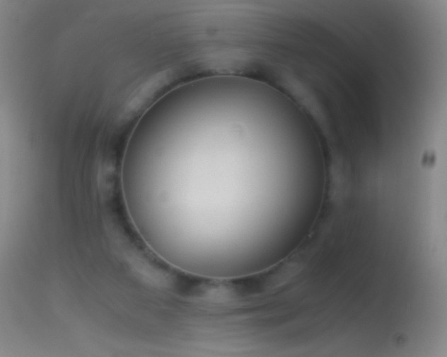 X0000114660113200910201539