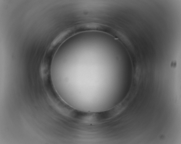 X0000114660116200910201539