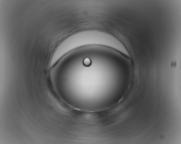 X0000114660117200910201539