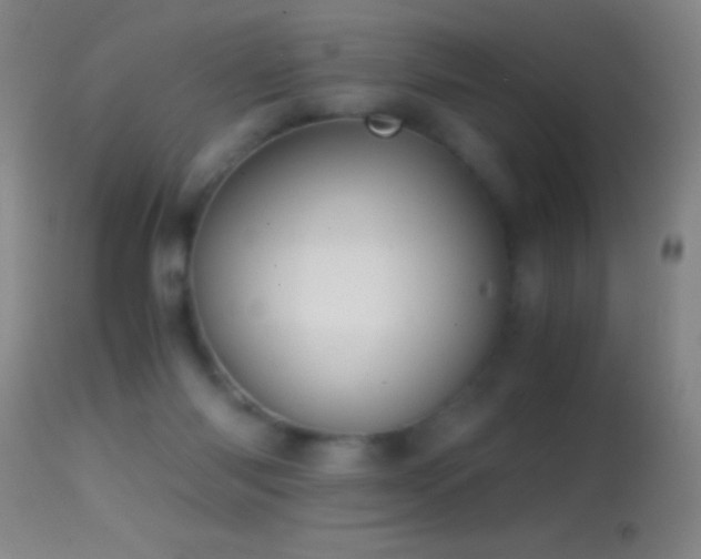 X0000114660118200910201539