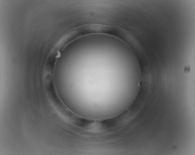 X0000114660119200910201539