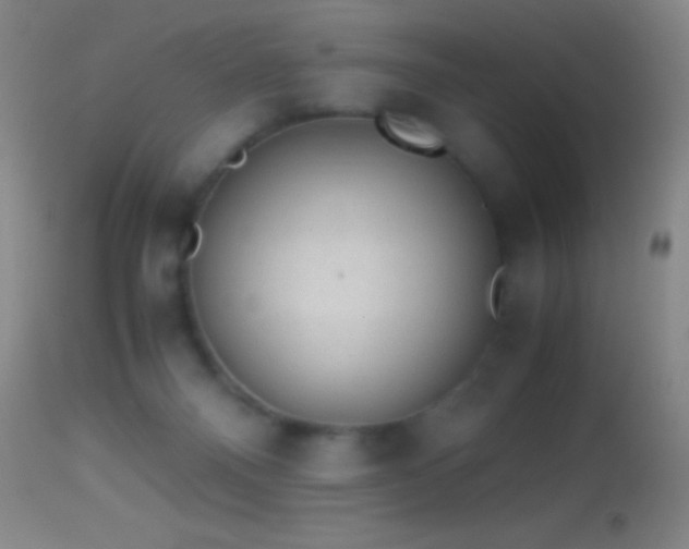 X0000114660120200910201539