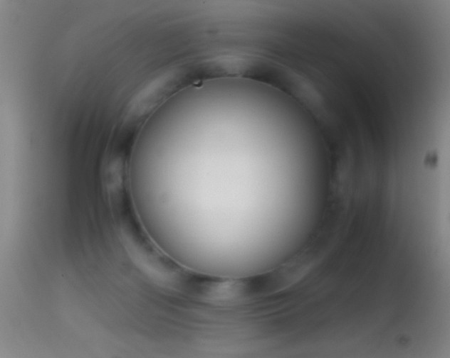 X0000114660122200910201539