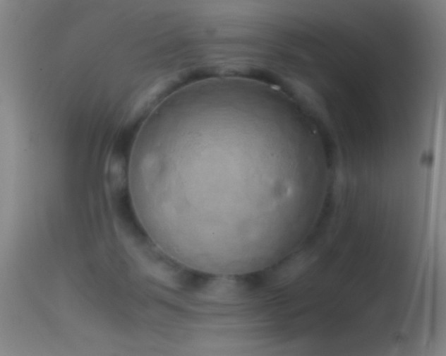 X0000114660123200910201539