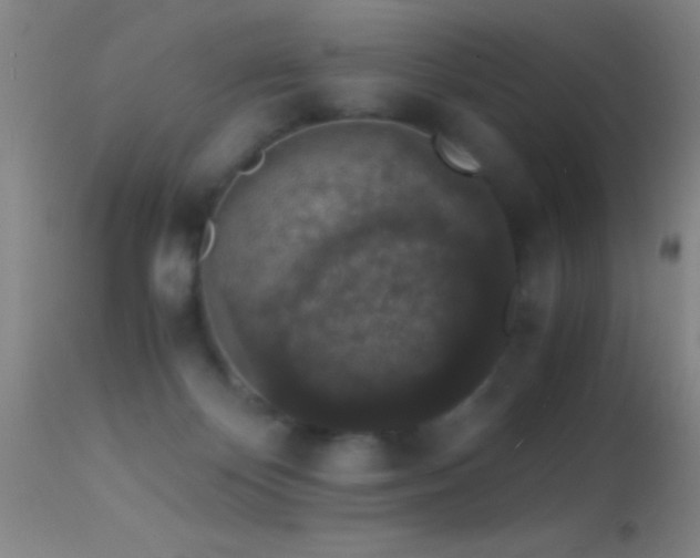 X0000114660124200910201539