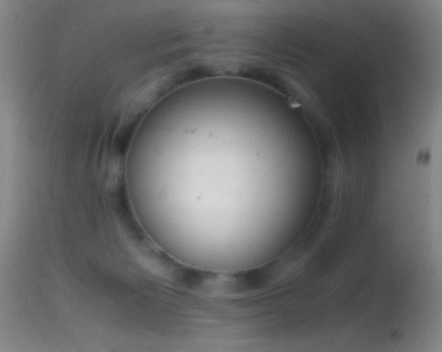 X0000114660125200910201539