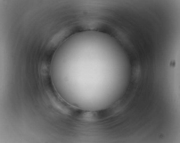 X0000114660126200910201539