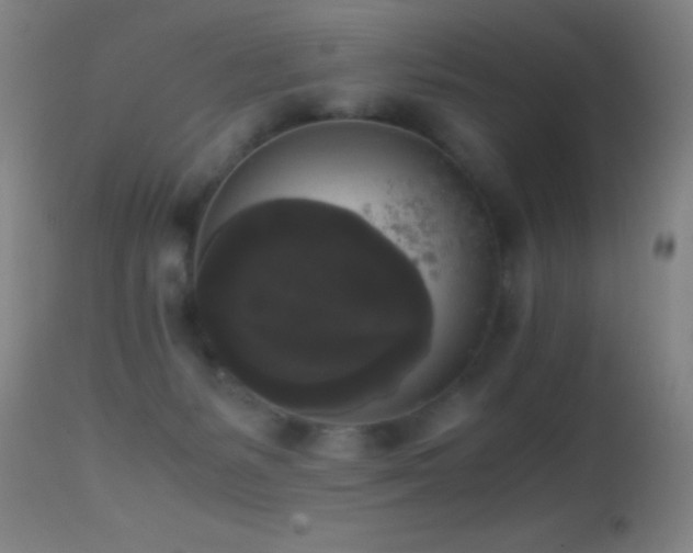 X0000114660127200910201539